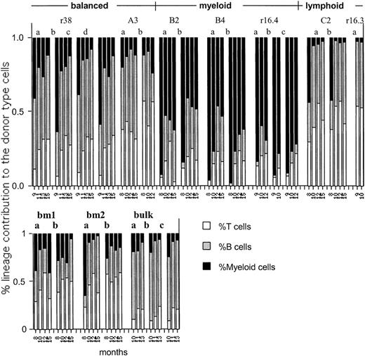 Fig. 7. Lineage dominance is stable or enhanced in secondary transfers. / The fraction of donor-type T, B, and myeloid cells to the donor-type repopulation (set as 100%) are depicted for each mouse at each time point tested. Numbers at the bottom of the figure indicate the cumulative months in transplantation (see Figure 2). The clone number or control (BM or bulk) as defined in the primary hosts (Figure 1) is indicated at the top. Secondary hosts are designated as a, b, or c. A single secondary mouse was injected with cells derived from clone r16.3.