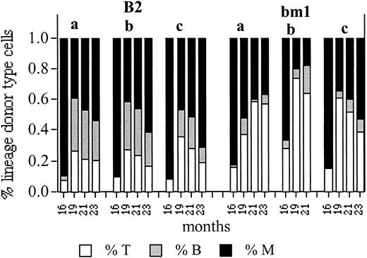Fig. 8. Tertiary transplantation demonstrates stable lineage dominance in clone B 2 and reveals lineage-dominant HSCs in the control mice. / The fraction of donor-type T, B, and myeloid (M) cells in tertiary recipients is indicated. Numbers at the bottom of the figure indicate time after injection. For details see Figure 6.