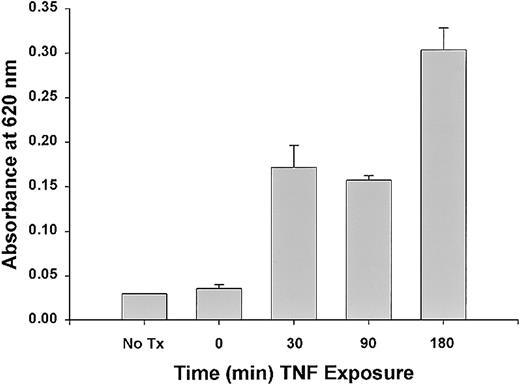 Fig. 5. Time-dependent effects of TNF on EC monolayer permeability. / Significant changes in EC monolayer permeability 60 minutes after addition of plasma were observed after a 30-minute treatment with 1 μg/mL TNF and were greatest after a 3-hour treatment.