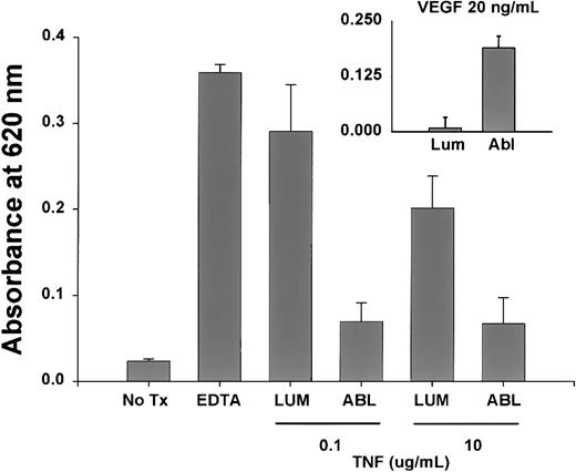 Fig. 6. Site-dependent effect of TNF on EC monlayer permeability. / Significant increases in EC permeability were observed only with a 90-minute luminal (lum) versus abluminal (abl) exposure to 0.1 and 10 μg/mL TNF as described. Under identical conditions, vascular endothelial growth factor caused a significant increase in permeability with abluminal exposure, demonstrating a true specificity for the luminal TNF response.