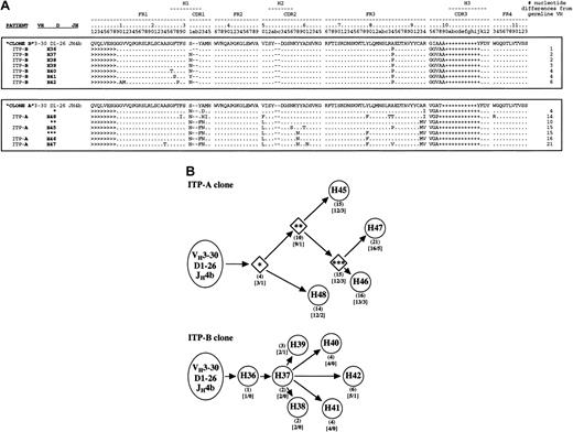 Fig. 2. Alignment of clonally related platelet autoantibody heavy-chain amino acid sequences and their putative ontogenic trees. / The H and L nomenclature is the same as in Figure 1. (A) Groups of related sequences comprising expanded heavy-chain clones in each patient library (clone A and clone B) are enclosed in boxes. The coalignment with the rest of the 16 unique heavy chains is available on the Blood website; see the Supplemental Data Set link at the top of the online article. For clone A, the putative intermediate heavy-chain sequences are also shown (1, 2, and 3 asterisks). The number of nucleotide differences from germline VH is tabulated to the right of each sequence. Because D segments showed poor homology with known D genes, mutations were not scored in these regions. Replacement mutations are indicated by letters, identities as “.”, and insertions as −, and + to maintain spacing due to variability in CDR3 length. Sequences derived from the 5′ V-region primers used for library construction22 are marked as >. CDR-region designations are according to the system of Kabat et al29; numbering and hypervariable loop designations are according to the system of Chothia et al.30 (B) Analysis of nucleotide data in each patient revealed a distinct set of somatically mutated heavy chains sharing common VHDJH rearrangements of VH3-30, D1-26, and JH4b gene segments. Circles represent isolated and sequenced clones (Figures 1 and 2A); diamonds (for ITP patient A only) represent putative intermediates. For each member of a patient's clone, the number of nucleotide mutations from its germline VH gene is shown in parentheses, and the resulting number of replacement (R) or silent mutations (S) is shown in brackets. For each patient clone ontogenic tree, the distance in the horizontal direction represents the extent of mutation from the proposed germline origin within the constraints of the diagram.