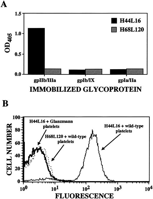 Fig. 3. Determination of platelet autoantibody specificity by ELISA and flow cytometry. / Shown are results for ITP patient A antibody H44L4, which was judged to be specific for platelet GPIIb/IIIa because of its binding to immobilized GPIIb/IIIa (but not GPIb/IX or GPIa/IIa; panel A), its binding to wild-type platelets but not GPIIb/IIIa-deficient platelets from 3 patients with Glanzmann thrombasthenia (one of 3 examples is shown in the flow cytogram; panel B), and its immunoprecipitation of GPIIb/IIIa molecules. Antibody H68L120, an anti–blood group B antibody isolated from the same original ITP patient A library,38was used as a negative control as indicated.