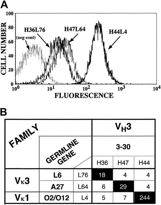 Fig. 6. Exchange of light chains among platelet autoantibody clones. / Heavy and light chains for 3 platelet-binding clones (H44L4, H47L64, and H36L76) were interchanged to generate 9 possible combinations (6 novel and 3 reconstituted originals). (A) Flow cytograms comparing the fluorescent intensities of the 3 index antibodies. (B) Matrix showing that only reconstituted original heavy-chain–light-chain pairs conferred platelet binding. Numbers in boxes represent mean fluorescent intensities.