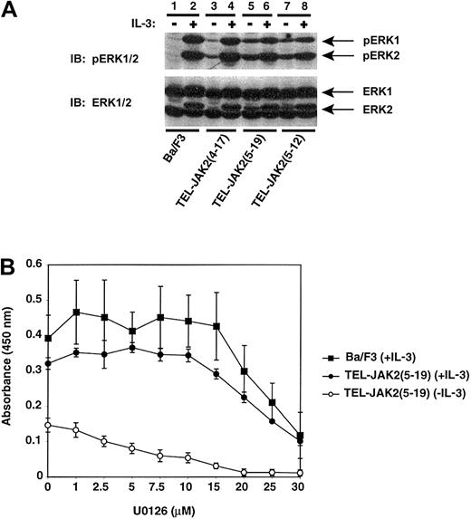Fig. 5. TEL-JAK2 expression results in constitutive phosphorylation of ERK1 and ERK2. / (A) Ba/F3 and Ba/F3-TEL-JAK2 cells were depleted of cytokine and then stimulated in the presence (+) or absence (−) of IL-3. Phosphorylated ERK1 and ERK2 were detected by IB lysates with an antibody specific for phosphorylated ERK1/2 (pERK1/2) (upper panel). Total ERK1/2 was detected upon reprobing with an ERK1/2 antibody (lower panel). (B) U0126 inhibits IL-3 and TEL-JAK2–mediated proliferation. Ba/F3 cells growing in IL-3 (closed squares) and Ba/F3-TEL-JAK2(5-19) cells growing in the presence of IL-3 (closed circles) or in the absence of IL-3 (open circles) were incubated in increasing concentrations of U0126. An XTT assay was then performed.