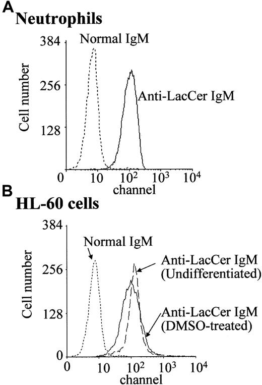 Fig. 2. Expression of LacCer on neutrophils and HL-60 cells. / Neutrophils and undifferentiated and DMSO-treated HL-60 cells were incubated with anti-LacCer IgM T5A7 or normal IgM for 30 minutes at 4°C. After washing with PBS, cells were stained with fluorescein isothiocyanate–labeled rabbit antimouse IgM antibody and analyzed by flow cytometry.