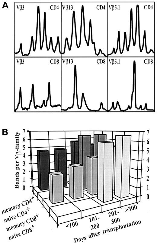 Fig. 1. Distinct CDR3 size distributions in CD4+ and CD8+ naive and memory T-cell subsets. / (A) Different CDR3 size fragments identified in CD4+ (top lane) and CD8+ (bottom lane) T-cell subsets. Representative example of Vβ3, Vβ5.1, and Vβ13 families in the sorted subfractions of a patient with acute lymphoid leukemia (UPN 442) on day 147 after transplantation. (B) Increase in the median number of bands per Vβ family in naive and memory CD4+ and CD8+ T-cell subsets after transplantation. Before day 200, no naive-type T cells were available for analysis. In parallel with the appearance of naive-type T cells in the periphery, the mean number of bands per Vβ family of the CD4+ and CD8+memory compartment significantly increased between the study time points, days 101 to 200 and days 201 to 300 (P < .001, Mann-Whitney U test).