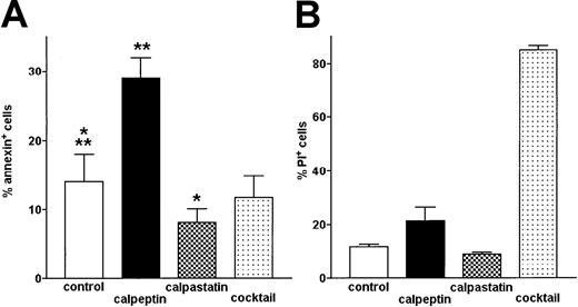 Fig. 8. The proportion of spontaneously apoptotic B-CLL cells is increased by treatment with calpeptin. / Apoptotic (FITC-annexin–binding) cells were detected by flow cytometry. Bars represent means from 3 separate experiments ± SD. (A) Proportion of apoptotic, annexin-binding cells in untreated control (control) and cells treated with calpeptin (calpeptin), rabbit muscle m-calpain inhibitor (calpastatin), and protease inhibitor cocktail (cocktail), as in “Patients, materials, and methods.” The differences between proportions of apoptotic cells in control and inhibitor-treated samples are statistically significant (**calpeptin, paired t test, P < .0001; *calpastatin, paired t test, P < .02). (B) Proportion of necrotic cells staining with propidium iodide (PI+) in the same samples shows high toxicity of protease inhibitor cocktail but not of selective calpain inhibitors.