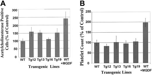 Fig. 3. Megakaryocytes are more numerous in BM of BclxL transgenic mice, but no increase in platelet level is detected. / (A) BM was harvested from femurs of WT or transgenic mice and cytospun; megakaryocytes were identified by in situ staining for acetylcholinesterase as described in “Materials and methods.” The data are presented as percentage of WT megakaryocytes, presented as averages ± SD for 4 different experiments (4 mice from each group), each performed in duplicates. The actual average number for WT is 52.3 ± 15.4 megakaryocytes/5 × 105 BM cells. Values were also obtained in MGDF-injected mice. (B) Platelet counts from the peripheral blood of WT and transgenic mice. The data are shown as percentage of WT values with averages ± SD for 8 mice for Tg12; for 16 mice each for Tg13, Tg16, and Tg19; and for 24 mice for WT. The actual average number for WT is 1.2 × 106 platelets in 1 μL blood. Values were also obtained in MGDF-injected mice.