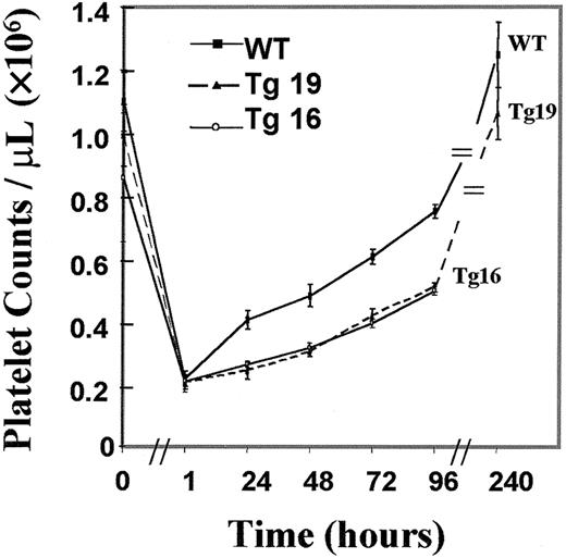 Fig. 4. Platelet recovery is slower in transgenic mice subjected to experimentally induced ITP. / The data are averages ± SD for 6 mice for Tg19, 3 mice for Tg16, and 8 wild-type (WT) mice. The differences between the transgenic lines and control were statistically significant (P < .01), as derived by t tests.