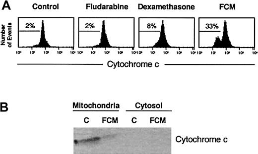 Fig. 5. Analysis of cytochrome c in drug-induced apoptosis. / (A) Flow cytometric analysis of cytochrome c staining. Cells from a representative CLL patient were incubated in the presence or absence of 5 μg/mL fludarabine, 10 μM dexamethasone, or the FCM combination for 24 hours, stained with anti–cytochrome c, and analyzed by flow cytometry. The percentage of cytochrome c–negative cells is indicated in each histogram. (B) Western blot of cytochrome c in mitochondrial and cytosolic fractions obtained from 50 × 106 cells of a representative CLL patient incubated in the presence or absence of FCM for 24 hours.