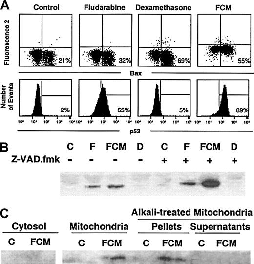 Fig. 7. Activation of p53 is independent of Bax conformational changes. / (A) Flow cytometric analysis of conformational changes of Bax and p53 activation in cells from a representative CLL patient incubated with medium alone or in the presence of 5 μg/mL fludarabine, 10 μM dexamethasone, or the FCM combination. (B) Western blot analysis of p53 protein. Whole-cell lysates were obtained from 2 × 106 cells from a representative CLL patient incubated with medium alone (C), fludarabine (F), FCM, or dexamethasone (D), in the presence (+) or absence (−) of 200 μM Z-VAD.fmk for 24 hours, and were analyzed by Western blot. (C) Cytosolic and mitochondrial fractions were obtained from 50 × 106cells incubated in the absence (C) or presence of the FCM combination for 24 hours. Mitochondrial fractions were either left untreated or treated with alkali. All fractions were analyzed by Western blot.