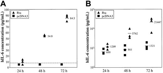 Fig. 2. HHV-8/KSHV Rta activates the endogenous. / hIL-6 gene. pcDNA3/Rta or pcDNA3 (1 μg) was transfected into 293T (A) or R1T (B) cells. Supernatants were harvested 24, 48, and 72 hours later, diluted where appropriate, and assayed for hIL-6 protein levels by ELISA. Average hIL-6 protein concentrations in the supernatants are indicated by horizontal bars, with the numbers (pg/mL) shown. The detection range of the ELISA kit is 7.8 to 500 pg/mL. Dotted line in panel A indicates the lowest detection limit of the kit. When the hIL-6 level in one or more experiments was lower than 7.8 pg/mL, the average for that time point was not calculated. A logarithmic scale is used in panel B.
