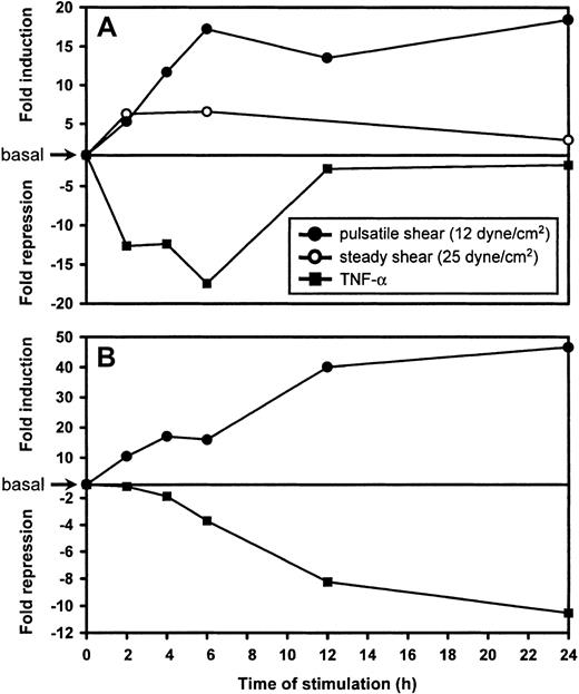 Fig. 4. Kinetics of LKLF and CYP1B1 differential expression as determined by real-time semi-quantitative RT-PCR. / In a parallel plate-type flow chamber, HUVECs were exposed to either steady laminar flow generating a shear stress of 25 dyne/cm2 (○) or unidirectional pulsatile laminar flow generating a shear stress of 12 ± 7 dyne/cm2 (●) for various time intervals. Static HUVECs cultured in parallel were treated with 50 ng/mL TNF-α (▪). Ratios of the relative expression levels for LKLF (A) and CYP1B1 (B) determined by semiquantitative real-time RT-PCR over static cultures were calculated and expressed as fold induction or fold repression.