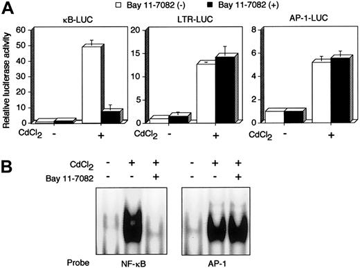 Fig. 2. Bay 11-7082 specifically inhibits Tax-induced NF-κB activation. / (A) κB-LUC, LTR-LUC, or AP-1-LUC was transfected into JPX-9 cells. JPX-9 cells were pretreated for 1 hour with 5 μM Bay 11-7082 followed by 48 hours of incubation with 20 μM CdCl2 in the continued presence of Bay 11-7082. Relative luciferase activity is expressed relative to the basal level measured in cells transfected with the reporter plasmid without further treatment. To normalize variations, the construct containing the TK promoter-drivenRenilla luciferase (pRL-TK) was cotransfected, and the activities of firefly and Renilla luciferases were measured sequentially from a single sample by means of a dual-luciferase reporter assay system. Data are the mean ± SD of 3 separate transfections. (B) Inhibition of NF-κB/DNA binding in CdCl2-treated JPX-9 cells. Nuclear proteins of JPX-9 cells treated without or with CdCl2 in the absence or presence of Bay 11-7082 were incubated with radiolabeled oligonucleotide containing NF-κB or AP-1 binding site, and DNA binding activity was examined by EMSA.