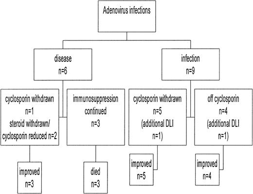 Fig. 4. Outcome of adenovirus infection in relation to manipulation of immunosuppression.