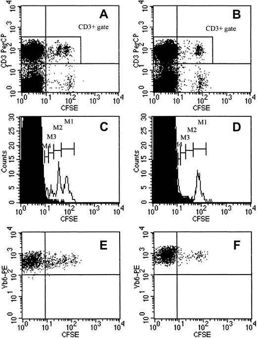Fig. 3. Survival and proliferation of CFSE-labeled DLI cells. / Survival and proliferation of CFSE-labeled DLI cells in a week 3 DLI (A,C,E) and a week 12 DLI chimera (B,D,F), 14 days after DLI with CFSE-labeled cells. (A,B) Distribution of PBLs and the CD3+population according to CFSE fluorescence in a week 3 DLI (A) and a week 12 DLI chimera (B). (C,D) Histograms represent the CD3+ population only, obtained by gating in the corresponding dot plots, shown immediately above (CD3+ gate in panels A and B, respectively). Open histograms show the distribution of CD3+ cells according to CFSE fluorescence in the week 3 DLI (C) and the week 12 DLI chimera (D); M1 to M4 indicate cell populations with 2-fold decreasing CFSE fluorescence intensity; superimposed solid histograms represent spontaneous fluorescence of CD3+ cells from an age-matched control animal (given DLI with unlabeled cells). (E,F) Dot plots were obtained in the TCR-Vβ6+ CD3+ gate, identified, and gated using double labeling (not shown). Plots show TCR-Vβ6+CD3+ cells according to their CFSE fluorescence in the week 3 DLI (E) and the week 12 DLI chimera (F). Dot plots and histograms are shown from 1 of 5 animals within each group (1 of 2 representative experiments).