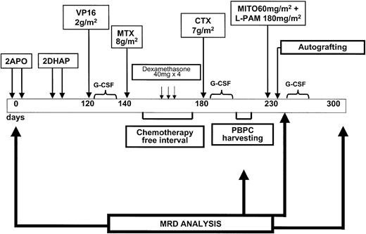 Fig. 1. Schematic representation of the treatment schedule used in this patient series. / APO course consisted of doxorubicin 75 mg/m2 days 1 and 22, vincristine 1.2 mg/m2 days 1, 8, and 22, and prednisone 50 mg/m2 days 1 to 22. DHAP course consisted of cisplatin 100 mg/m2 day 1, Ara-C 4 g/m2 day 2, dexamethasone 40 mg days 1 to 4.