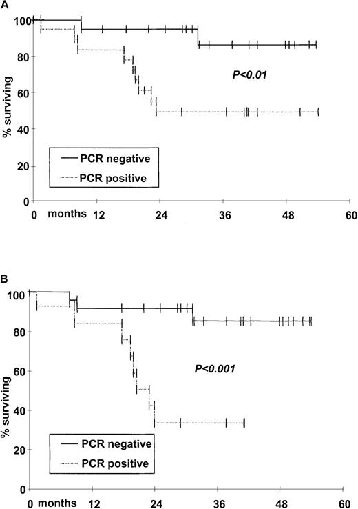 Fig. 4. Kaplan-Meier estimate of probability of DFS according to PCR status of harvests and molecular follow-up. / (A) DFS for patients whose harvests were PCR− (n = 20, solid line) versus patients whose harvests were PCR+(n = 22, dotted line); P < .01. (B) DFS for patients achieving a molecular remission (n = 24, solid line) versus patients with PCR+ follow-up (n = 13, dotted line);P < .001.
