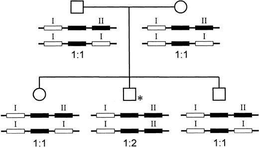 Fig. 6. The parents of control subject P, who has the uncommon ΔGT/GTGT ratio of 1:2, both have a ratio of 1:1, suggesting that they carry one copy of each of the extended haplotypes. / Exon 2 of NCF-1/ψNCF-1 in genomic DNA of the parents and siblings of control subject P (indicated by an asterisk in the pedigree) was amplified, and the ratio of ΔGT to GTGT sequence was estimated using the sequence- and gel-based methods. Both parents were found to have a ratio of 1:1, which is consistent with our hypothesis that subject P is homozygous for the extended haplotype that contains a single copy each of the Type I and Type II pseudogenes. The siblings both had ΔGT/GTGT ratios of 1:1. The family is unaffected by CGD. All other details are the same as in Figure 5.