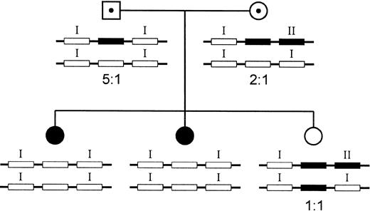 Fig. 7. NCF-1/ψNCF-1 genotypes in a family affected by A47°CGD. / Exon 2 of ψNCF-1/NCF-1 in genomic DNA from the members of a family affected by A47°CGD was amplified, and the ratio of ΔGT to GTGT sequence was estimated. Two sisters (●) have A47°CGD and are homozygous for the ΔGT mutation. Both parents were considered obligate carriers of the disease, but the ΔGT/GTGT ratio of the mother (⊙) was 2:1, identical to that of an unaffected individual. A third sister (○) was found to have a ΔGT/GTGT ratio of 1:1. These data indicate that the mother carries the ΔGT mutation inNCF-1 on one copy of chromosome 7 and one each of the type I and type II pseudogenes on the other copy. All other details are the same as in Figure 5.