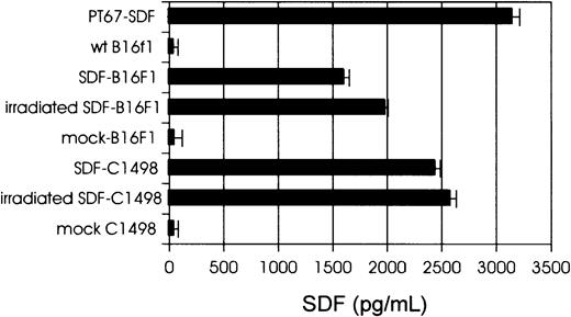 Fig. 1. Expression of hSDF-1β by tumor cells. / Levels of hSDF-1 secreted by PT67-SDF packaging cells, SDF-tumor cells, and control (mock) cells, as determined by hSDF-1 ELISA. Cell lines (106 cells/mL) were cultured for 24 hours and supernatants were collected, filtered (0.45-μm pore-size filter) and assayed for hSDF-1 levels.