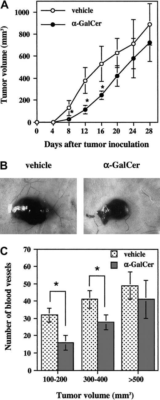 Fig. 1. Effects of α-GalCer on subcutaneous tumor growth and tumor angiogenesis. / Wild-type B6 mice were intradermally inoculated with B16-BL6 (1 × 105) cells and intraperitoneally administered α-GalCer (2 μg/200 μL) or vehicle (200 μL) from day 0 and then every 4 days for 28 days. (A) Tumor size was measured every 4 days after tumor inoculation. Data are represented as the mean ± SD of 5 mice in each group. Similar results were obtained in 2 independent experiments. *P < .05 compared with vehicle. (B) The tumor-inoculated sites in vehicle- or α-GalCer–treated mice at day 10. (C) Tumor-inoculated sites were isolated from vehicle- or α-GalCer–treated mice when the tumor size reached the indicated volumes and tumor-supplying vessels were counted. The mean tumor sizes of vehicle- and α-GalCer–treated groups were not different within any one range described. (At 100 to 200 mm3, vehicle 153 ± 24, α-GalCer 161 ± 22. At 300 to 400 mm3, vehicle 365 ± 25, α-GalCer 358 ± 34. At greater than 500 mm3, vehicle 622 ± 56, α-GalCer 608 ± 70.) Data are represented as the mean ± SD of 5 mice in each group. Similar results were obtained in 2 independent experiments. *P < .01.