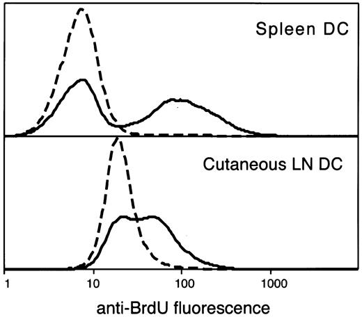 Fig. 1. Segregation of BrdU-labeled and unlabeled DCs. / DCs were isolated, stained for DC surface markers and intracellular BrdU, and analyzed by flow cytometry gating on the CD11c+ MHC class IIhi population. Results are typical of those after 2 days of continuous BrdU administration for spleen DCs and 10 days for LN DCs. The continuous line indicates the BrdU-fluorescence staining after BrdU administration, and the broken line indicates the background staining of DCs from mice not administered BrdU but with identical, side-by-side, isolation and staining protocol.