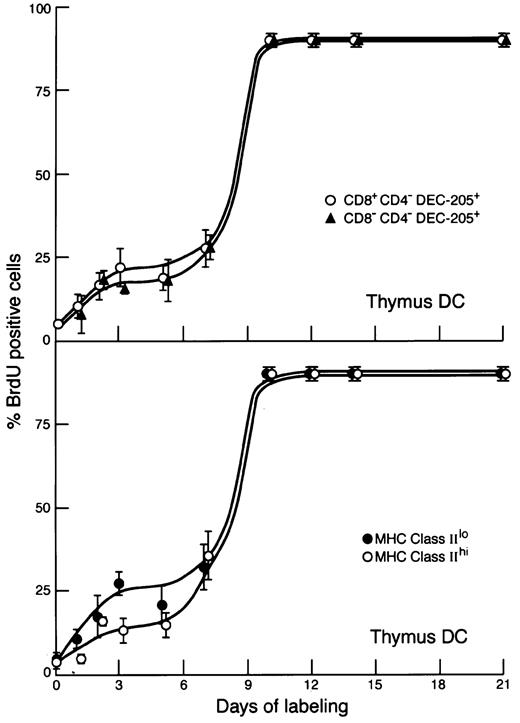 Fig. 3. BrdU-labeling kinetics of subtypes of thymic DCs. / Conditions were similar to those for Figure 2, except that the thymic DCs were subdivided based on surface marker differences. Upper graph: the 60% staining brightest with anti-CD8α (CD8α+) versus the 30% showing the lowest staining (CD8α−). Lower graph: the 50% showing brightest staining with anti-MHC class II(hi) versus the 50% showing less bright staining (lo). In MHC class II staining, the distribution was continuous and the division arbitrary; other cutoff points between low and high MHC class II expression gave similar results. Results are pooled from 4 separate kinetic-labeling experiments.