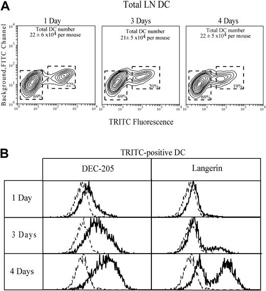 Fig. 6. Tracking the movement of DCs from skin to LN by labeling the skin with a fluorescent dye. / The ear skin was painted with TRITC to mark DCs and DC precursors. Identification of skin-derived TRITC-positive gated DCs in the draining auricular LN is shown (A). DC recovery from the auricular LN of control mice before ear painting was 15 × 104 DCs per mouse, a value lower than but not statistically significant different from the recovery from ear-painted mice. The expression of DEC-205 and Langerin by the gated TRITC-positive DC is shown (B); the broken line gives the background, omitting only the specific mAb. Data represent one of 3 experiments giving similar results.