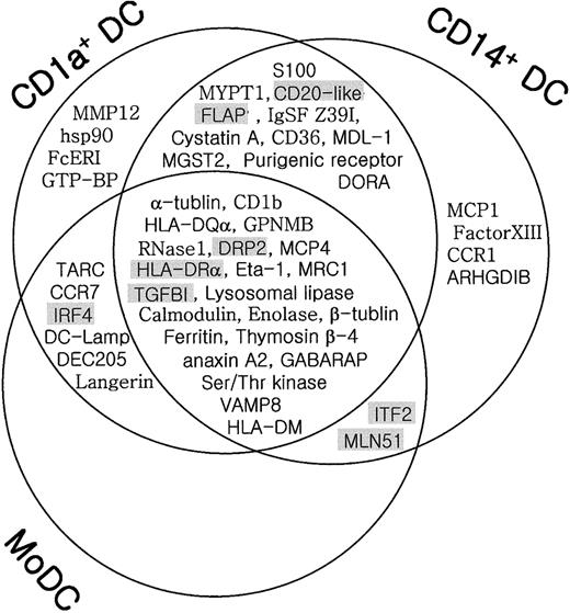Fig. 4. Schematic summary of genes differentially expressed in different subsets of DCs. / The genes identified in this study were grouped based on the microarray analysis (DC/BMT > 1.0, Table 2) and the RT-PCR (Figure 3) and summarized in a Venn diagram. The nonoverlapping area represents genes specifically expressed in each subset of DCs. The overlapping area represents genes commonly expressed in different subsets of DCs. Shadowed genes represent the ones also highly expressed in blood CD11c− DCs.
