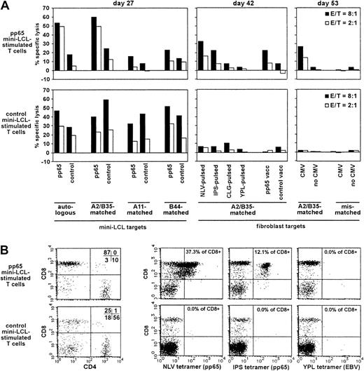 Fig. 4. Analysis of pp65 mini-LCL–stimulated and control mini-LCL–stimulated T cells from the CMV+, EBV− donor no. 2. / (A) The cytotoxic activity of pp65-mini-LCL–stimulated polyclonal T cells (upper row) and control mini-LCL–stimulated T cells (lower row) from donor no. 2 against diverse target cells was assayed by chromium release on days 27, 42, and 53, respectively. (B) Analysis of the 2 T-cell populations with CD4- and CD8-specific antibodies and NLV, IPS, and YPL tetramers, performed on day 52 of cultivation.