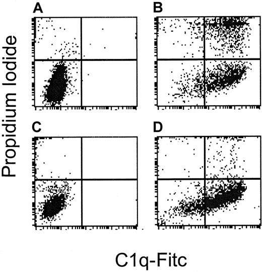 Fig. 7. Complement resistance is distal to C1q binding. / DHL-4 and NCEB-1 are sensitive and resistant, respectively, to rituximab-induced complement. This figure demonstrates flow cytometry following staining with C1q-FITC on the x-axis and PI on the y-axis in cells treated with rituximab alone (A and C), or rituximab and human serum (B and D). (A) DHL-4 control cells: 0.1% bind C1q and 2.1% undergo lysis. (B) DHL-4 cells treated with rituximab and human serum: 84% bind C1q and 44% undergo lysis. (C) NCEB-1 control cells: 0.1% bind C1q and 4.4% undergo lysis. (D) NCEB-1 cells treated with rituximab and human serum: 73% bind C1q and 8% undergo lysis. In contrast to DHL-4 cells, the resistant NCEB-1 cell line binds C1q, but cells do not undergo lysis.