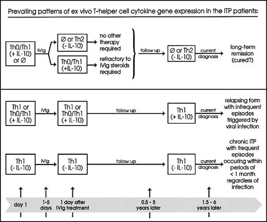 Fig. 5. Classification model. / This proposed model classifies patients with acute ITP according to their prevailing ex vivo Th1/Th2 cytokine gene expression patterns in relation to the phase of the disease and clinical profiles. ⊘ indicates no expression; upper panel, 12 patients (67%); lower panel, above, 4 patients (22%); below, 2 patients (11%).