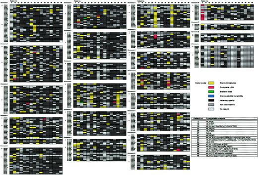 Fig. 4. Comparison of allelotyping results and cytogenetic analysis. / Matched allelotype and cytogenetic data. Allelotyping: patients (numbers indicated on top) in rows, microsatellite markers on the left in lanes per chromosome as in Figure 3. Note color codes in figure legend. Karyotypes according to ISCN.28