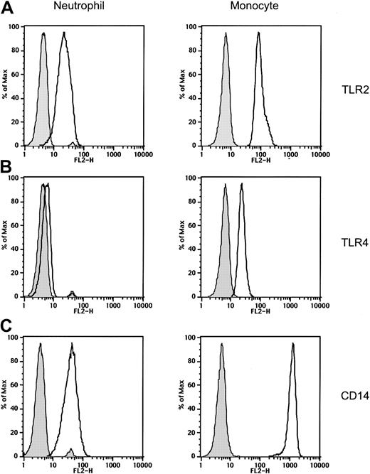 Fig. 1. Expression of Toll-like receptors and CD14 on neutrophils and monocytes. / Expression of TLR2, TLR4, and CD14 on peripheral blood neutrophils and monocytes was measured by fluorescence analysis of cells stained with anti-TLR2, anti-TLR4, anti-CD14, or isotype-control mAbs followed by PE-labeled goat anti–mouse Ig Ab. Isotype-control Ab–stained cells are shown as gray histograms. Specific mAb–stained cells are shown as black line histograms. Geometric mean fluorescence intensity (SD). Neutrophils: isotype control, 4.7 (0.3); TLR2, 22.6 (0.5); TLR4, 6.3 (0.3); and CD14, 42.1 (0.5). Monocytes: isotype control, 6.3 (0.3); TLR2, 96.6 (0.3); TLR4, 23.4 (0.2); and CD14, 1183 (0.3).