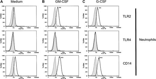 Fig. 2. GM-CSF and G-CSF enhance TLR2 and CD14 expression on neutrophils. / Neutrophils were incubated with GM-CSF (100 U/mL), G-CSF (100 U/mL), or medium alone for 2 hours prior to staining and FACS analysis. Isotype-control Ab–stained cells are shown as gray histograms. Specific mAb–stained cells are shown as black line histograms. Geometric mean fluorescence intensity (SD). Neutrophils treated with medium alone: isotype control, 7.9 (0.4); TLR2, 12.3 (0.3); TLR4, 8.5 (0.3); and CD14, 17.5 (0.3). Neutrophils treated with GM-CSF: isotype control, 7.9 (0.4); TLR2, 19.4 (0.4); TLR4, 9.2 (0.4); and CD14, 33.8 (0.4). Neutrophils treated with G-CSF: isotype control, 7.9 (0.4); TLR2, 18.0 (0.4); TLR4, 8.8 (0.3); and CD14, 24.7 (0.4). Significance of difference between treated cells and untreated controls: **P < .001 by Probability Binning ChiT analysis (ChiT(X) > 450); P < .001 by Kolmogorov-Smirnoff analysis.