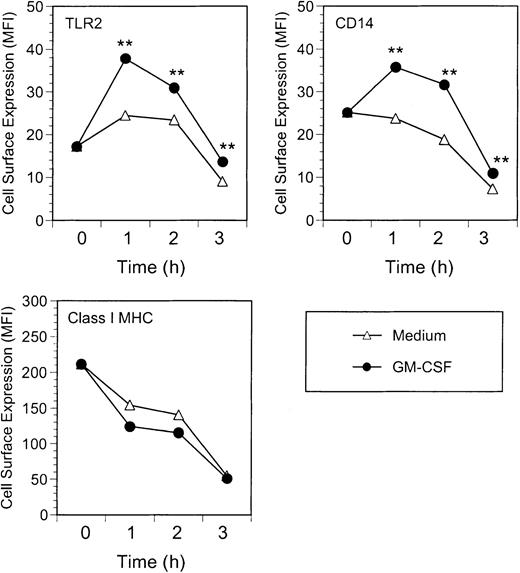 Fig. 3. Kinetics of GM-CSF–induced TLR2 and CD14 expression. / Neutrophils were incubated with GM-CSF (100 U/mL) or medium alone for up to 3 hours at 37°C. At the indicated times, cells were stained and analyzed for expression of TLR2, CD14, and Class I MHC. Data are expressed as geometric mean fluorescence intensity of cells stained at t = 0 (immediately after isolation) or following incubation for 1, 2, or 3 hours prior to staining. Significance of difference between treated cells and untreated controls: **P < .001 by Probability Binning ChiT analysis (ChiT(X) > 330);P < .001 by Kolmogorov-Smirnoff analysis.