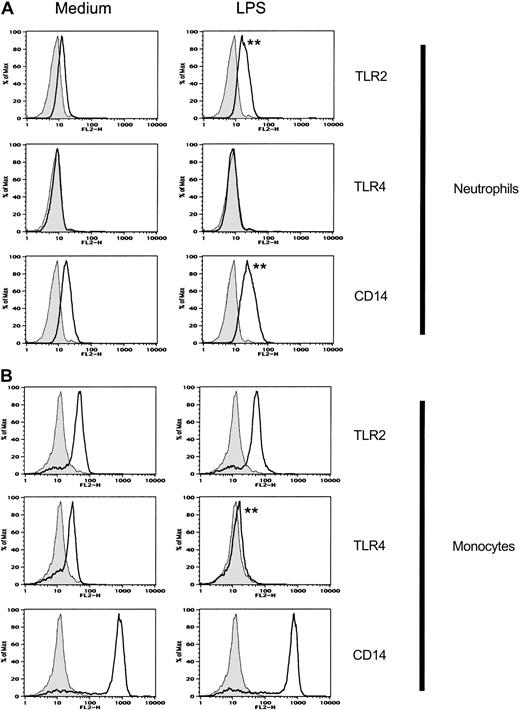 Fig. 5. LPS enhances TLR2 and CD14 but not TLR4 expression on neutrophils. / Neutrophils and monocytes were incubated with LPS or medium alone for 2 hours prior to staining and FACS analysis. Isotype-control Ab–stained cells are shown as gray histograms. Specific mAb–stained cells are shown as black line histograms. Geometric mean fluorescence intensity (SD). Neutrophils treated with medium alone: isotype control, 7.9 (0.4); TLR2, 12.3 (0.3); TLR4, 8.5 (0.3); and CD14, 17.5 (0.3). Neutrophils treated with LPS: isotype control, 7.9 (0.4); TLR2, 18.2 (0.4); TLR4, 8.4 (0.3); and CD14, 27.1 (0.5). Monocytes treated with medium alone: isotype control, 12.9 (0.4); TLR2, 42.3 (0.5); TLR4, 23.5 (0.6); and CD14, 633 (1.6). Monocytes treated with LPS: isotype control, 12.9 (0.4); TLR2, 48.6 (0.6); TLR4, 14.8 (0.5); CD14, 566 (1.8). Significance of difference between treated cells and untreated controls: **P < .001 by Probability Binning ChiT analysis (ChiT(X) > 500); P < .001 by Kolmogorov-Smirnoff analysis.