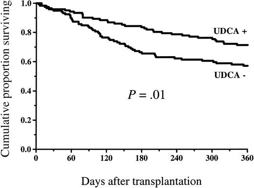 Fig. 4. Overall survival among patients given and not given UDCA. / The survival was statistically significantly better in the group of patients given UDCA.