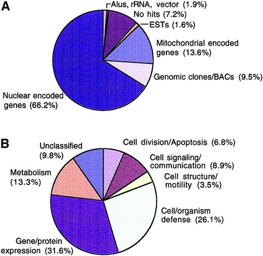 Fig. 1. Frequency analysis of single-pass sequences. / Clones from the primary myeloma libraries were plated, randomly picked, and PCR amplified. Sequencing of the 5′ end of cDNAs was performed on 2 μL of PCR products using primers nested within the forward PCR primer. Sequence data generated were compared using the Blast algorithm9 against Ref Seq, nonredundant GenBank/EMBL/DDBJ, high-throughput genomic sequence (htgs), dbEST, and Unigene databases on Pentium Pro200 Solaris x 86 platform (Micron Electronics). Assignment of putative identities required a minimum Blastn E value = 10−10. Each clone was classified based on Blast result from database searches (A) or according to functional categories (B).