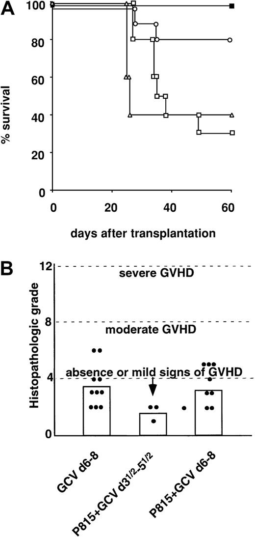 Fig. 4. GVL effect obtained by delayed GCV administration. / (A) Experimental GVHD was induced by B6 TK T cells injected together with B6 TCD-BM cells in lethally irradiated B6 × D2 F1 recipient mice. Leukemic challenge was performed by intravenous injection of 2 × 103 P815 cells at the time of grafting. GCV was administered from day 6 to day 8 after graft (black square; n = 10); GVL effect was induced in GVHD mice receiving P815 cells and treated with GCV from day 3½ after graft (white square; n = 10) or from day 6 after graft (white circle; n = 10). One group of mice also received CsA treatment from day −2 until day 10 after the graft and GCV treatment from day 6 to day 8 (white triangle; n = 5). Results are presented as Kaplan-Meier survival curves of cumulative data of 2 independent experiments. (B) Histopathologic liver score after semiallogeneic BMT. Histopathologic examination and grading of GVHD of liver from mice were performed 65 to 75 days after transplantation. GCV was administered at day 6 (GCV d6-8; n = 10). Two groups of mice received P815 leukemia cells at the time of transplantation and were treated by GCV starting on day 3½ (P815 + GCV d3½-d5 1/2; n = 3) or day 6 (P815 + GCV d6-8; n = 8) after the graft, respectively. Histograms indicate the mean histopathological score for each group. The Fisher test was used for ANOVA; P < .05 for P815 + GCV d3½-5½ versus P815 + GCV d6-8.