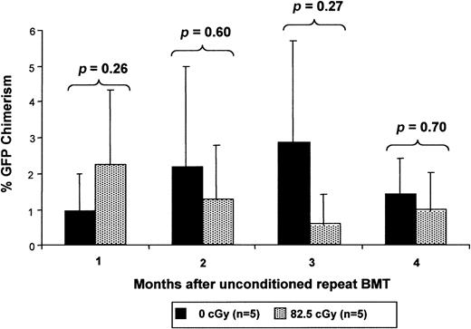 Fig. 7. Low-dose irradiation provides only a transient competitive advantage to nonirradiated cells. / Chimeric mice after IUHSCT received transplants at 4 weeks of age with 30 × 106 B6Ly5.2 TCD BM cells 6 to 8 hours after receiving either 0 cGy or 82.5 cGy TBI. Four weeks after the initial postnatal transplantation, the mice again received 30 × 106 B6GFP TCD BM cells without receiving any TBI conditioning and engraftment of the 2 populations was serially analyzed.