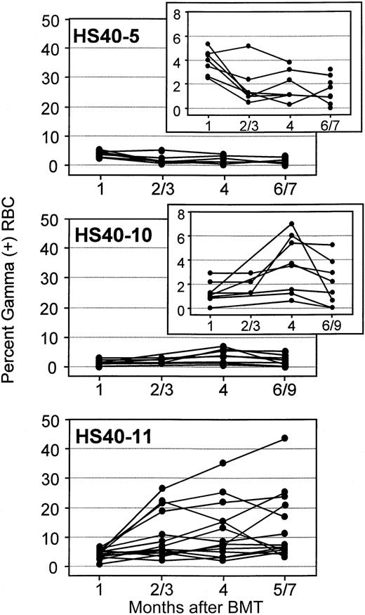 Fig. 3. Fraction of RBCs expressing γ-globin following bone marrow transduction and transplantation. / Marrow was transduced with the indicated vectors and was used to transplant myeloablated syngeneic recipients. At the indicated months after transplantation, blood samples were collected and the percentage of RBCs expressing human γ-globin was determined by immunofluorescence staining and flow cytometry. Only those mice with detectable provirus at the time of death were included in the analysis. Data are for individual animals. For each vector, mice are from 3 independent experiments.