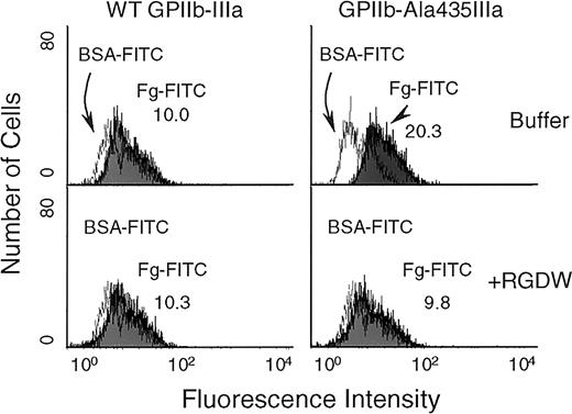 Fig. 5. Flow cytometric analysis of soluble fibrinogen binding to the cell surface-expressed GPIIb-Ala435IIIa. / Soluble fibrinogen was labeled with FITC as described in “Materials and methods.” Transfected CHO cells were incubated for 45 minutes at 22°C with either FITC-labeled fibrinogen or FITC-labeled BSA at a concentration of 100 μg/mL in the presence or absence of RGDW peptide (2 mM), followed by flow cytometric analysis. The left panel showed fibrinogen binding to WT GPIIb-IIIa on CHO cells, and the right panel showed the binding of soluble FITC-conjugated fibrinogen to GPIIb-Ala435IIIa on the transfected CHO cells (top). The bottom panel showed the data of blocking experiments using RGDW peptide.