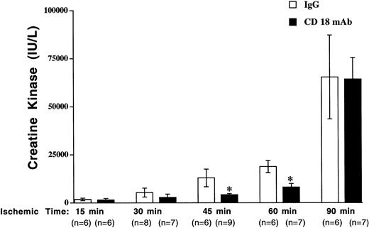 Fig. 1. The effect of CD18 blockade on I/R injury diminished with increasing ischemic times. / Mouse hind limb was subjected to varying periods of ischemia by aortic cross-clamping followed by 3 hours of reperfusion. CK concentration in plasma was determined following 3 hours of reperfusion following varying ischemic times. Solid bars show results for mice pretreated with CD18 mAb (2 μg/g body weight, administered intravenously, at 16 hours prior to cross-clamping) and open bars show results for controls treated with hamster IgG (2 μg/g body weight). Values represent means ± SEM. *P < .05 vs IgG-pretreated.
