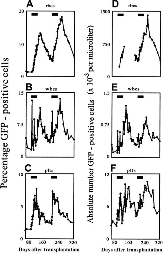 Fig. 1. In vivo selection in the peripheral blood in response to CID, depicted as relative (A-C) and absolute (D-F) changes in GFP-positive cells over time. / CD34-selected marrow cells were transduced with the F36VmplGFP vector and infused into the lethally irradiated autologous recipient as described.26 AP20187 administration for 30 consecutive days (indicated by the black rectangles) was begun in weeks 13 and 28 following the infusion of transduced cells, and the percentage of GFP-expressing cells was monitored by flow cytometry. Absolute cell numbers of GFP-positive red cells (D), white cells (E), and platelets (F) are expressed as 10−3 cells/μL blood. In panel D, for technical reasons, some data points are missing before, during, and after the first treatment cycle.