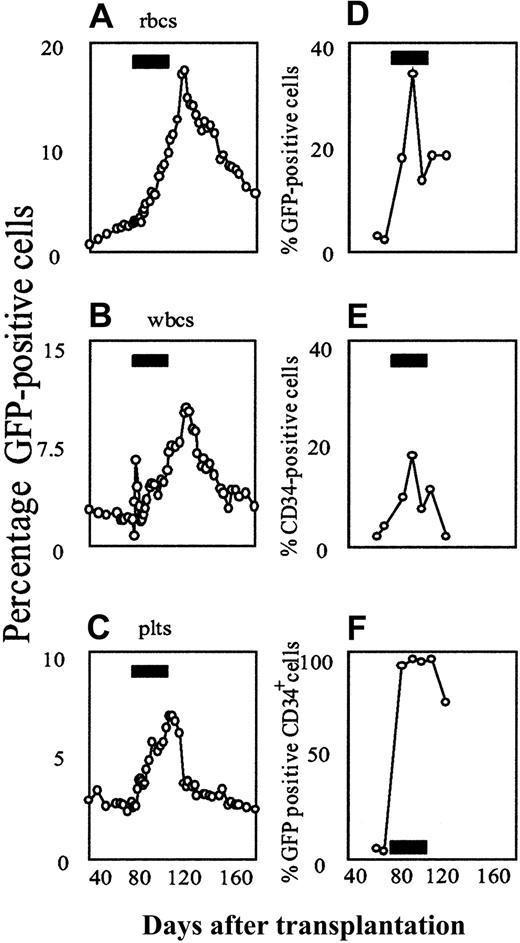 Fig. 3. Flow cytometric analysis of AP20187-mediated in vivo selection of F36VmplGFP-transduced cells in the second dog. / (A-C) Peripheral blood. (D-F) Bone marrow. The animal received autologous, retrovirally transduced marrow CD34+ cells, using the same transplantation and drug treatment protocol as described for the first animal. Black rectangles indicate the period of AP20187 treatment.