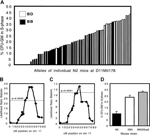 Fig. 1. Cell cycling phenotypes and genetic analysis of C57BL/6 × B6D2F1 backcross mice. / (A) The percent progenitors in S phase for 60 N2 animals is depicted. Animals carrying 2 B alleles at D11Mit178 are indicated by ▪, whereas the ■ show heterozygous mice carrying 1 B and 1 D allele. (B) Interval mapping analysis of the N2 generation. The horizontal line indicates the statistical threshold for highly significant linkage, obtained by performing a permutation test with 2000 permutations at 1 cM intervals, on chromosome 11 only. (C) Interval mapping analysis of the N6 generation. (D) The percentage of CFU-GMs in S phase in wild-type B6 (n = 26), DBA (n = 29), and in congenic B6.DBA2Scp2 animals (n = 17) is shown.