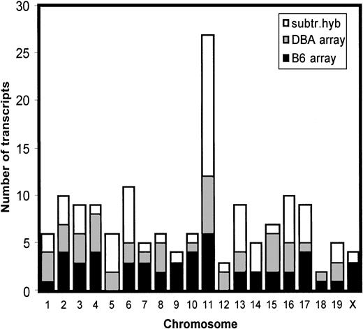 Fig. 4. Genomic distribution of differentially expressed genes. / Transcripts that were shown to be differentially expressed in B6- and DBA-purified hematopoietic stem cells using bidirectional subtractive hybridization or gene array analysis were not randomly distributed across the genome but, rather, mapped preferentially to chromosome 11.
