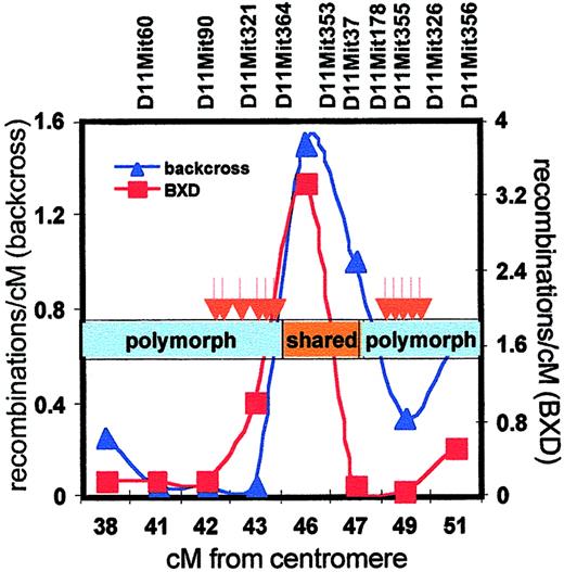 Fig. 6. Meiotic recombinations, haplotype sharing, and differential gene expression in the Scp2 cluster. / The frequency of meiotic recombinations within the Scp2interval was determined in the backcross panel that was used to breed congenic B6.DBAScp2 mice (blue line, left y-axis) and in the BXD recombinant inbred panel (data obtained fromhttp://mickey.utmem.edu/MMfiles/MMlist.html; red line, right y-axis). The region of shared haplotypes of B6 and DBA mice (45 to 47 cM) is indicated by the orange box, whereas distinct haplotypes are shown in blue. Differentially expressed stem cell genes (red arrows) clustered in the polymorphic regions in which recombination was severely suppressed.